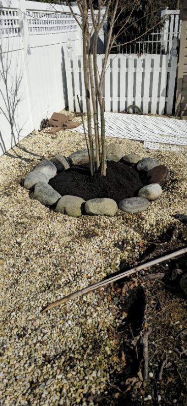 Sandoval Brothers Services LLC